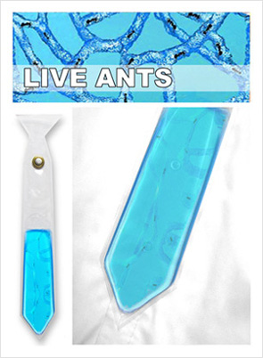 clear tie withants 2